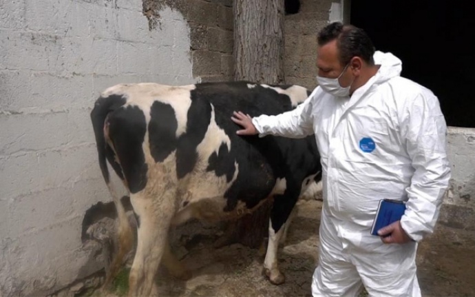 Şahinbey Belediyesi'nin hayvan yetiştiricilerine desteği sürüyor