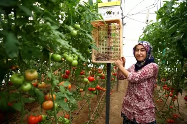 Dolandırıldı, şer hayra dönüştü, kendi işinin patronu oldu